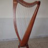 L\'arpa  Salvi